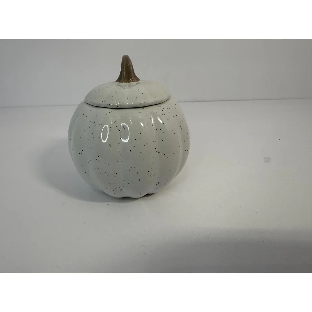 10SS Artisan Collection Speckled White Pumpkin Stoneware Lidded‎ Jar Fall Decor